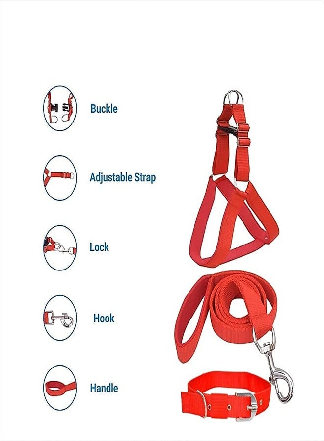 VIPCOLLECTION VIP Collection Dog Collar,Harness, and Leash Set-Adjustable,Durable and Stylish for All Breed Dogs Comfortable for Walking and Training (Small) - Image 2