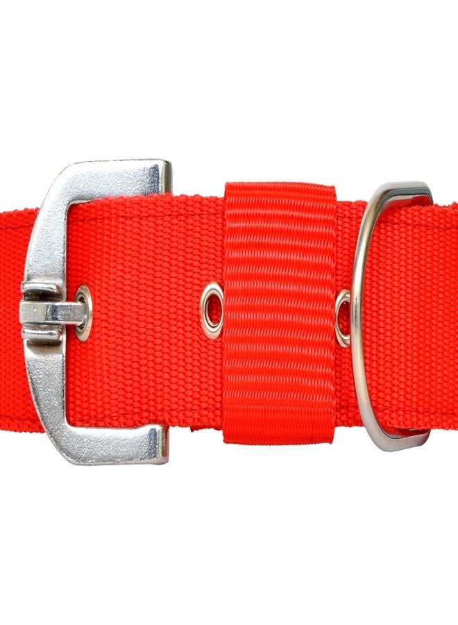 VIPCOLLECTION VIP Collection Dog Collar,Harness, and Leash Set-Adjustable,Durable and Stylish for All Breed Dogs Comfortable for Walking and Training (Small) - Image 5