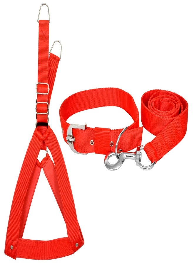 VIPCOLLECTION VIP Collection Dog Collar,Harness, and Leash Set-Adjustable,Durable and Stylish for All Breed Dogs Comfortable for Walking and Training (Small) - Image 1