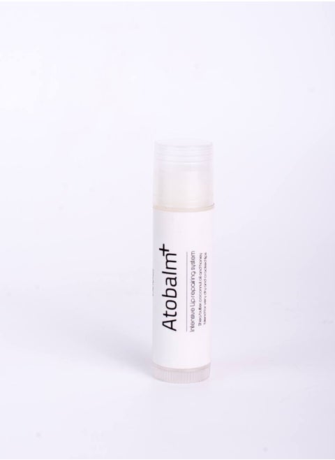 LipBalm
