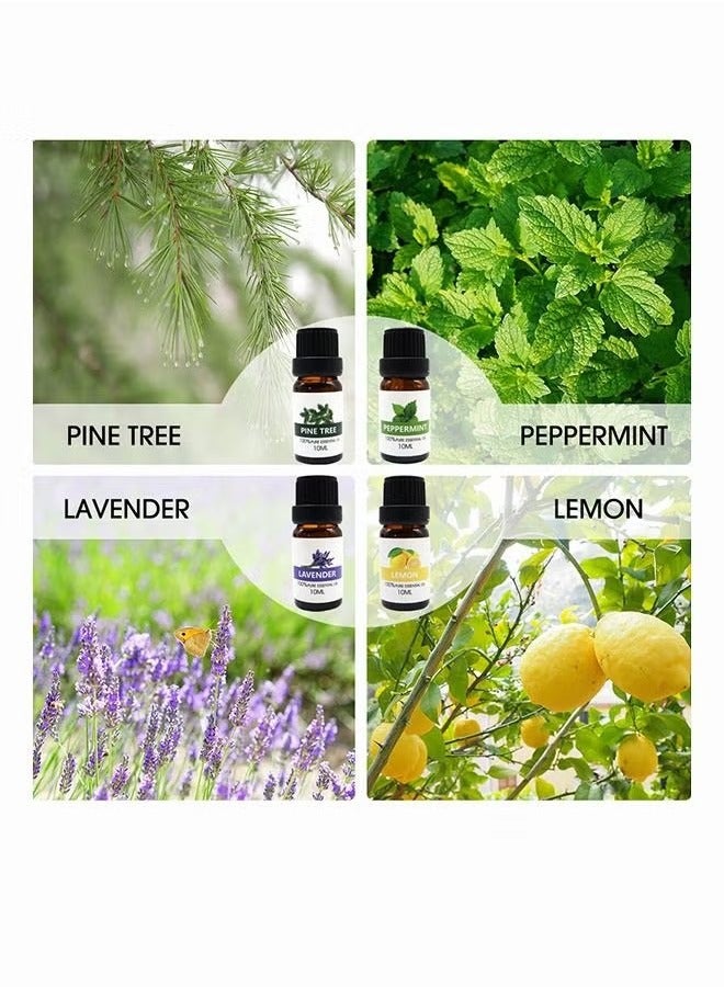 8-Piece Essential Oil Set Clear 10ml - Image 2