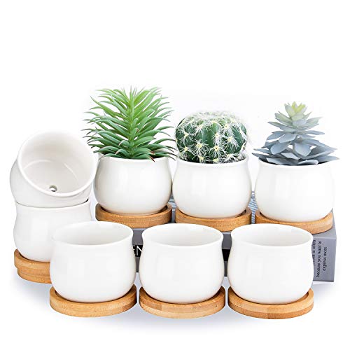 SHECIPIN Succulent Plant Pot, White Mini 2.6 inch Ceramic Flower Planter Pot with Bamboo Tray, Pack of 8 - Plants Not Included - Image 1