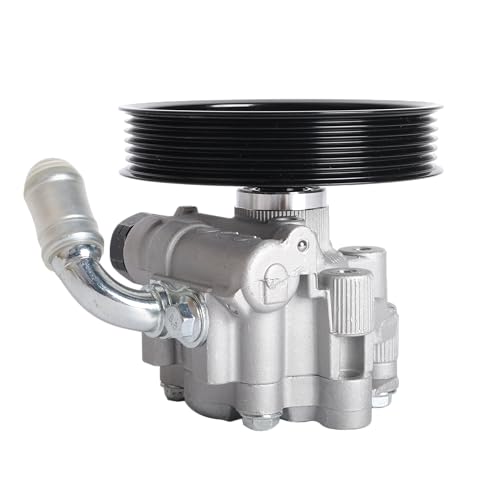 Riyhch 21-5439 Power Steering Pump with Pulley fit for Chrysler 300, fit for Dodge Challenger for Charger for Magnum, OE 965439 04892093AA 4782523AC 4782523AD - Image 1