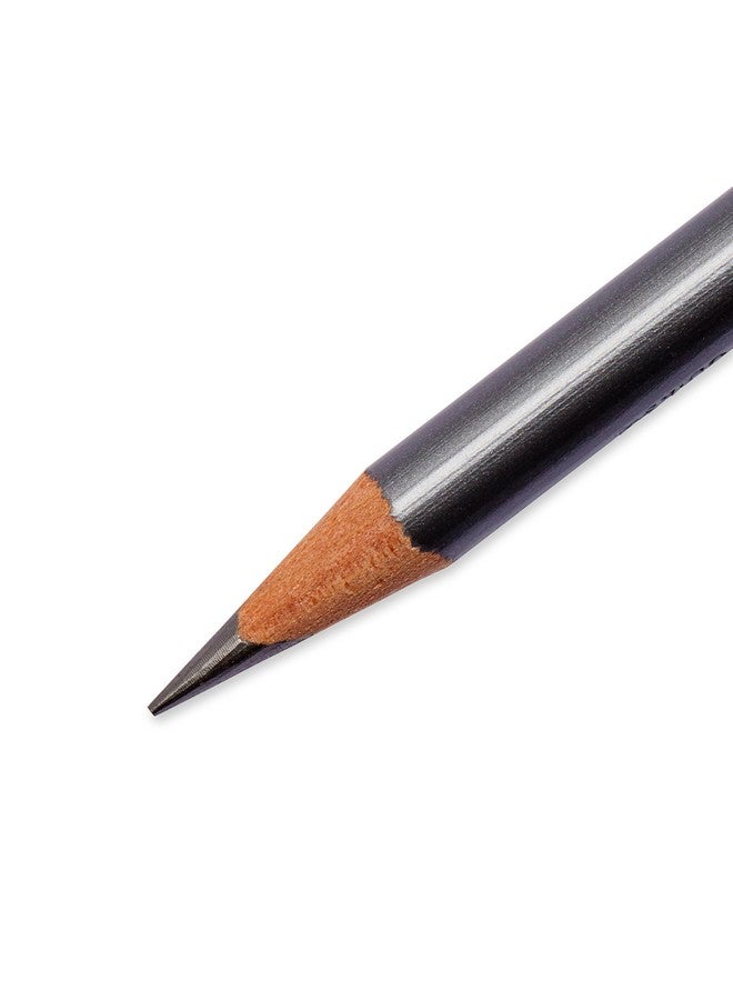 بريزما كالر أقلام رسم بريسماكولور إيبوني جرافيت، سوداء، تلوين للكبار، علبة من 12 قطعة - Image 2