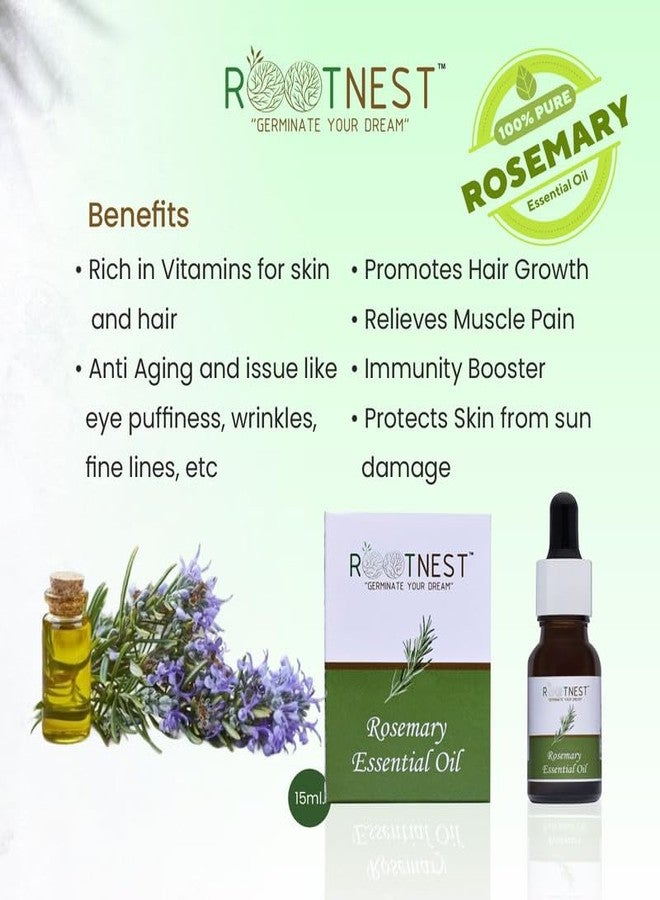 Rootnest | Rosemary | Clarity with Rosemary | Herbaceous & Invigorating Aroma | Often Used in Aromatherapy for Mental Clarity | Reputed to Stimulate Scalp in Haircare | 15ml - Image 2