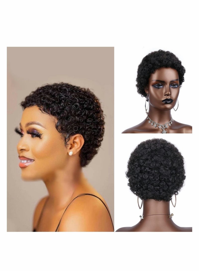 Y&D Short Afro Curl Pixie Wigs 100% Human Hair Wig Brazil Remy No Lace Boy Hairstyle Kinky Jerry Curly for Men And Women - Image 1