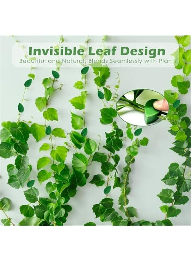 Generic 60 Reusable Green Leaf Plant Clips - Strong Support for Climbing Plants Indoors and Outdoors - Home Garden Accessories with 72 Stickers  - Image 3