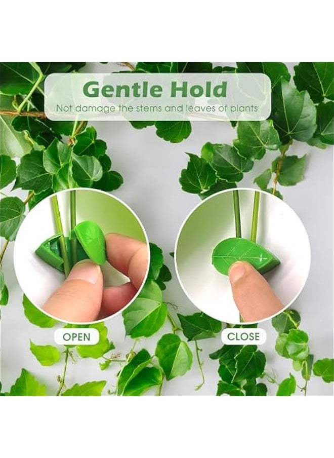 Generic 60 Reusable Green Leaf Plant Clips - Strong Support for Climbing Plants Indoors and Outdoors - Home Garden Accessories with 72 Stickers  - Image 4