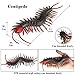 RCOMG 3PCS Rubber Insect Animal TPR Super Stretchy Bug Figures Bath Pool Toy with Spider Scorpion Centipede Party Supplies Squishy Wildlife Model Figurine for Collection Gift DecorationCake Topper - Image 4