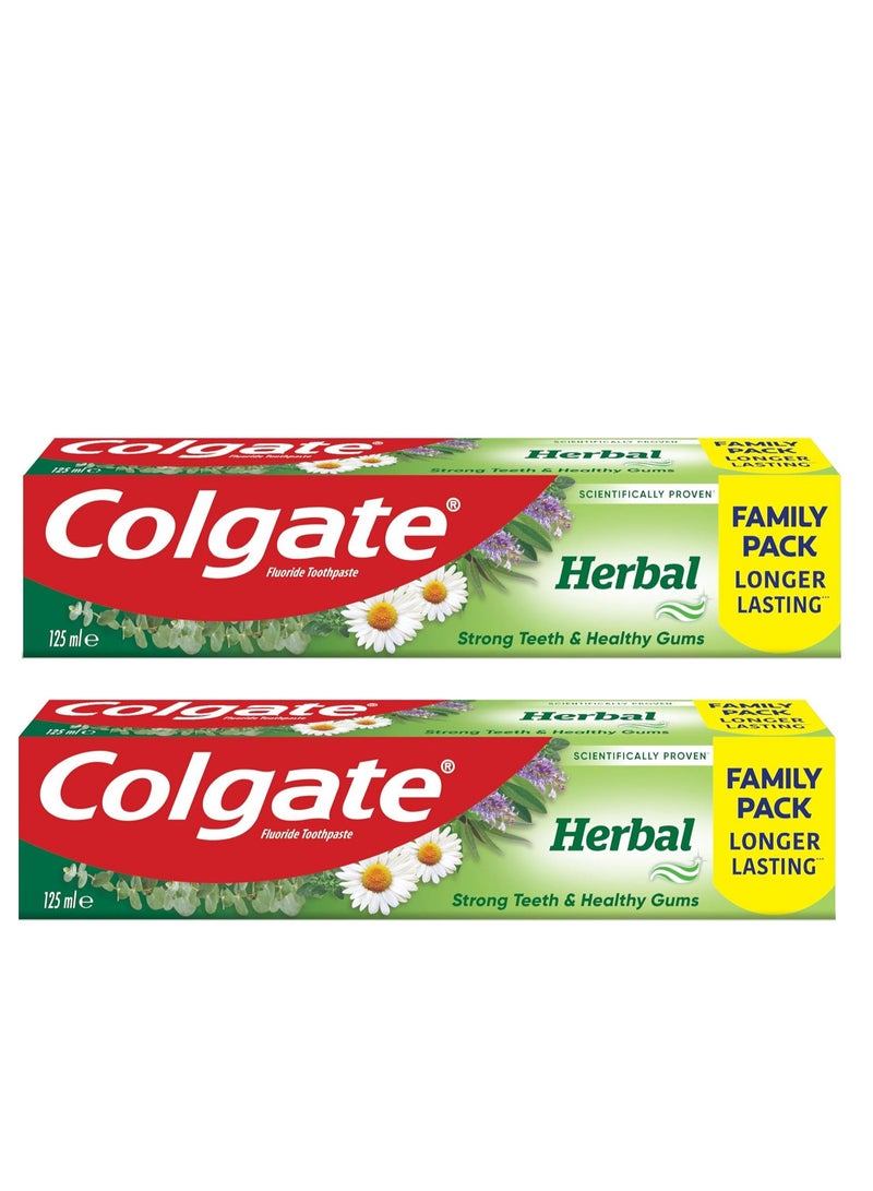 Colgate Pack Of 2 Colgate Herbal Toothpaste 125 Ml - Image 1