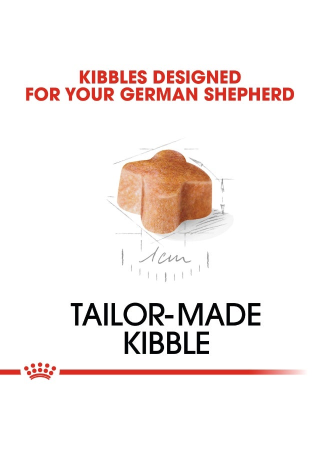 ROYAL CANIN Breed Health Nutrition German Shepherd Puppy 3 kg - Image 4