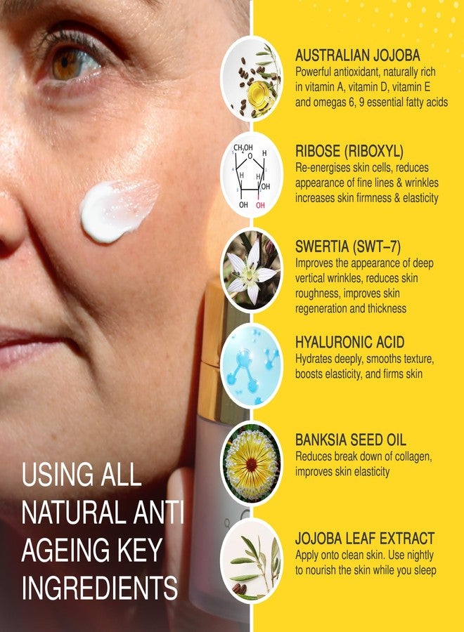 Jojoba Ultimate Night Cream - Anti-Aging Moisturizer for Wrinkles, Fine Lines & Regeneration - Hydrating Night Cream for All Skin Types - Enhances Texture & Tone - 50ml - Image 4