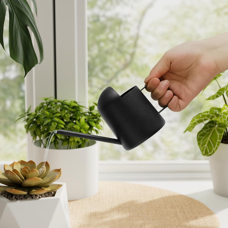Bamworld Small Watering Can Indoor Outdoor Plant Black Metal Stainless Steel Long Spoutt Flowers Watering Cans for House Garden Plants 10OZ Watering Bottle Cute Decorative for Bonsai - Image 1