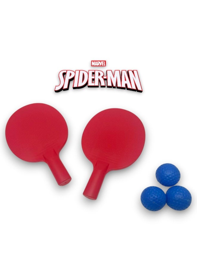 COCOBEE-Tritan Bento Lunch Box, BPA Free, 4 Compartments, Leakproof,  Design – Blue +Marvel Spider-Man Paddle Ball Set with 3 Balls - Image 5