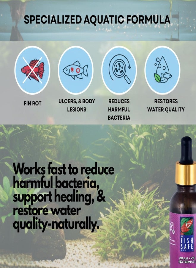 سلسلة فيش سيف للتحكم في البكتيريا موجبة الجرام | علاج العدوى البكتيرية + معزز الشفاء | مصمم لأحواض السمك الهندية (30 مل) - Image 2