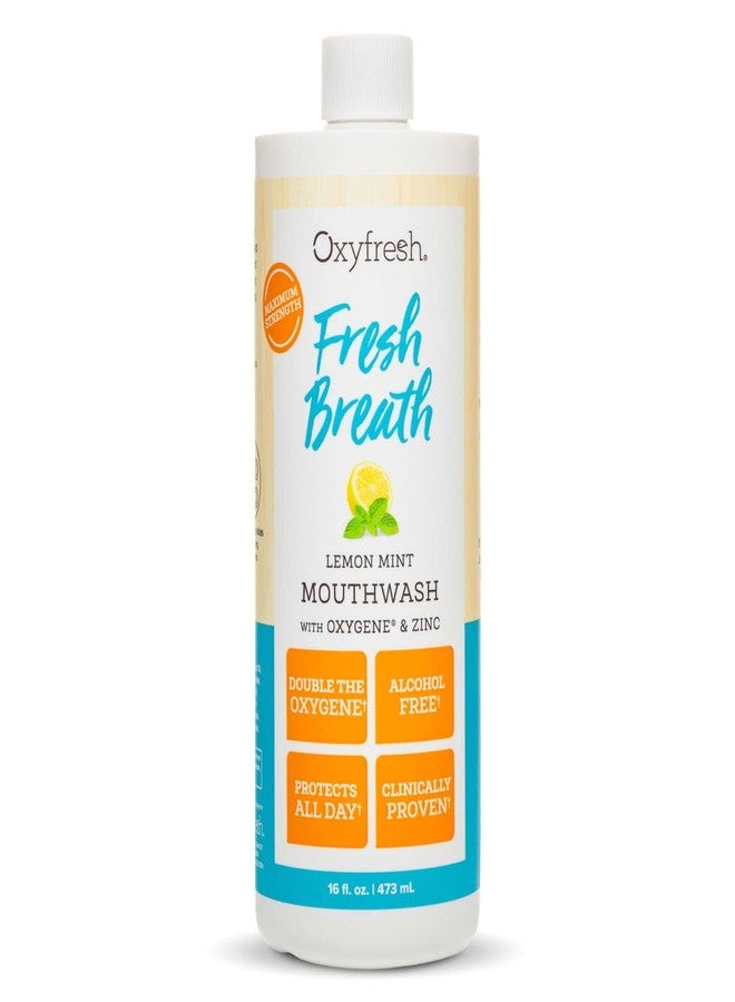 Oxyfresh Premium Lemon Mint Fresh Breath Mouthwash - Oral Rinse for Bad Breath - SLS & Fluoride Free Mouthrinse - Alcohol Free, Gentle Non Burning Mouthwash with Xylitol & Essential Oils, 16 oz - Image 1