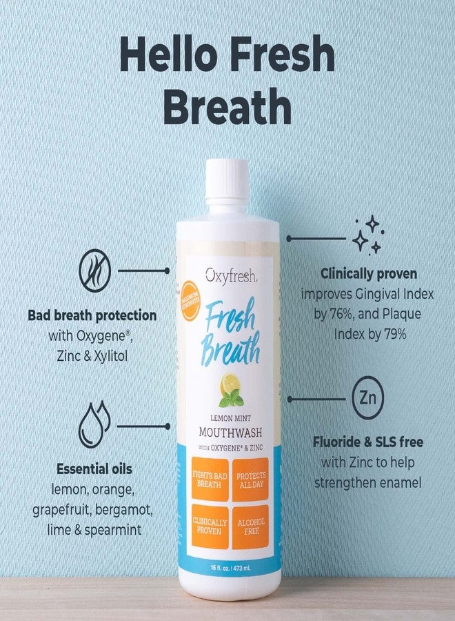 Oxyfresh Premium Lemon Mint Fresh Breath Mouthwash - Oral Rinse for Bad Breath - SLS & Fluoride Free Mouthrinse - Alcohol Free, Gentle Non Burning Mouthwash with Xylitol & Essential Oils, 16 oz - Image 2