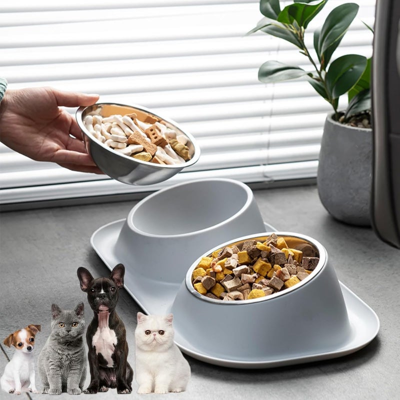 JDLYEVER Space saving Cat Food Bowls - Stainless Steel Double Cat and Dog Bowls - Separate Cleaning - Non-Slip Rubber Base - Spill-Proof Barrier for Waste Reduction - 15° Tilt for Neck Protection - 40x23x8cm Repeated use friendly design - Image 1