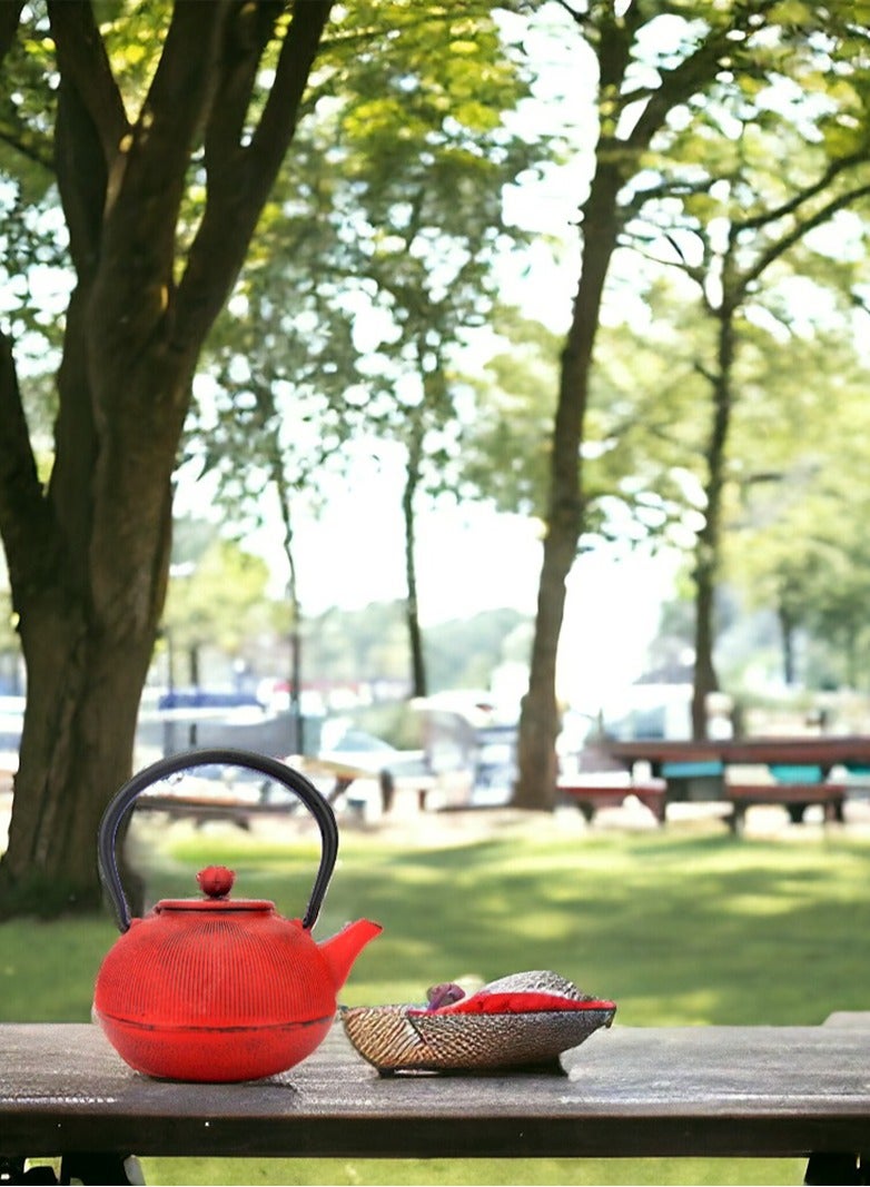 تيلاند ارفع تجربتك مع الشاي الأحمر والأخضر إبريق شاي من الحديد الزهر سعة 1.1 لتر مع طلاء بالمينا - Image 5