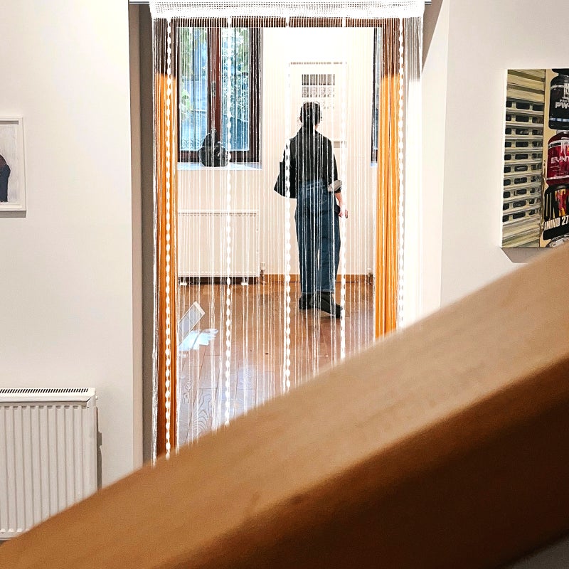 Door Curtain Fringe Room Divider Door Fly Screen Window Wall Panel Room Decoration - Image 3