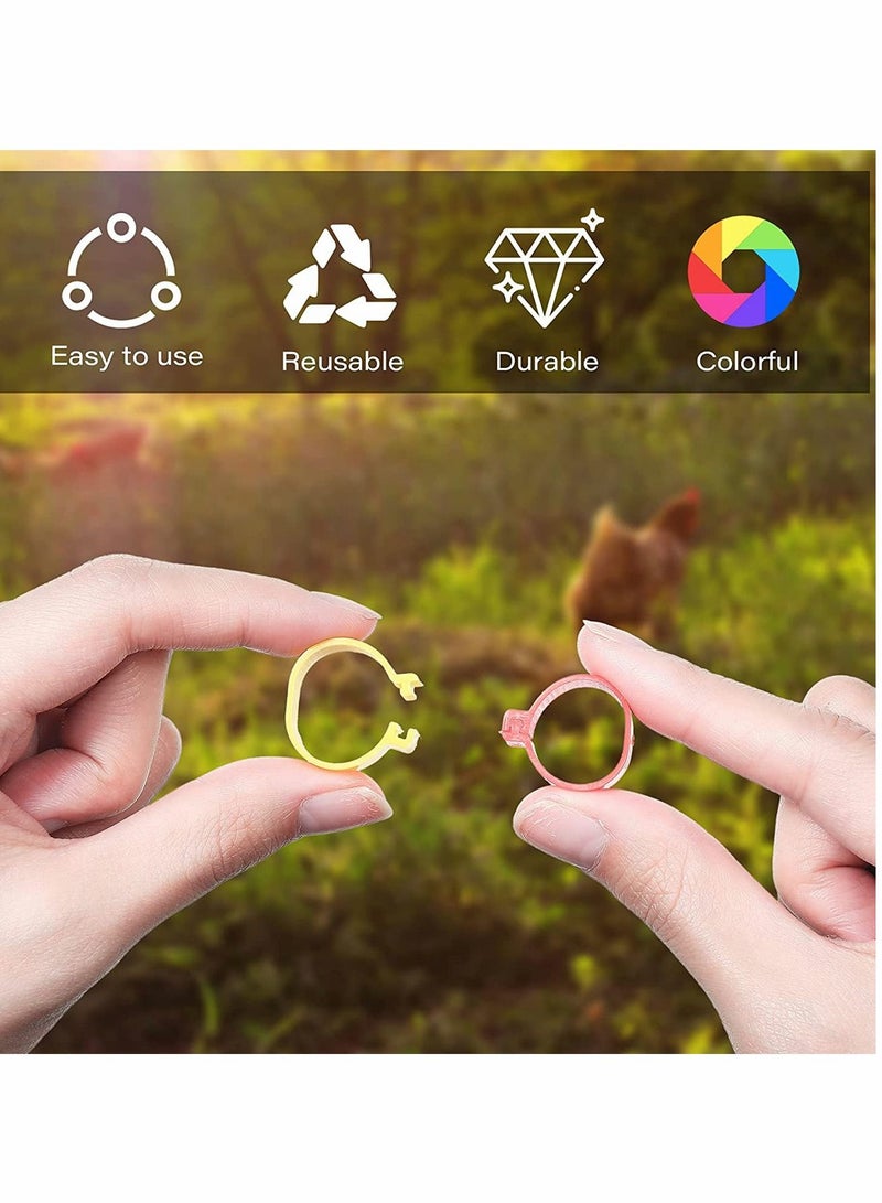 Chicken Leg Rings, Numbered Bands, Colorful Poultry Clip-on Ankle for Ducks Chicks  eons Goose, 100 Pieces, 5 Colors - Image 2