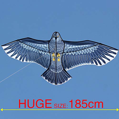 Hengda Kite طائرة هينغدا - النسور القوية! طائرات نسر ضخمة للمبتدئين للأطفال والبالغين. 74 بوصة - Image 5
