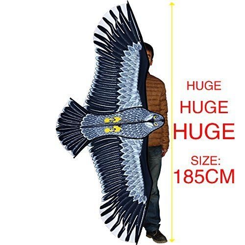 Hengda Kite طائرة هينغدا - النسور القوية! طائرات نسر ضخمة للمبتدئين للأطفال والبالغين. 74 بوصة - Image 3