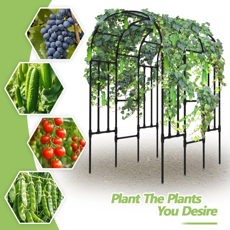 BUKLIYN Trellis for Climbing Plants Outdoor - Size of The Grape Vine Trellis: 71 * 69 * 79 inch - Cucumber Trellis for Raised Bed, Garden Trellis for Climbing Plants, Cucumber, Vegetable, Tomato - Image 3