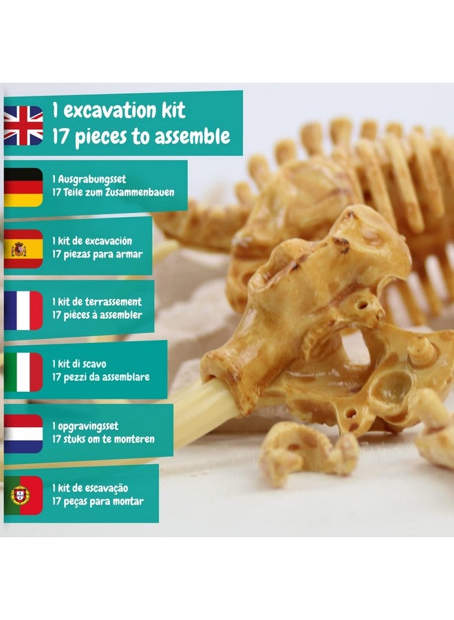 Science4you - Mammoth Fossil Digging Kit for Kids +6 Years - Excavate and Assemble 17 Mammoth Fossils - Ideal Dinosaur Excavation Kit Toy, Archeology and Paleontology Sets for Kids Age 6+ - Image 3