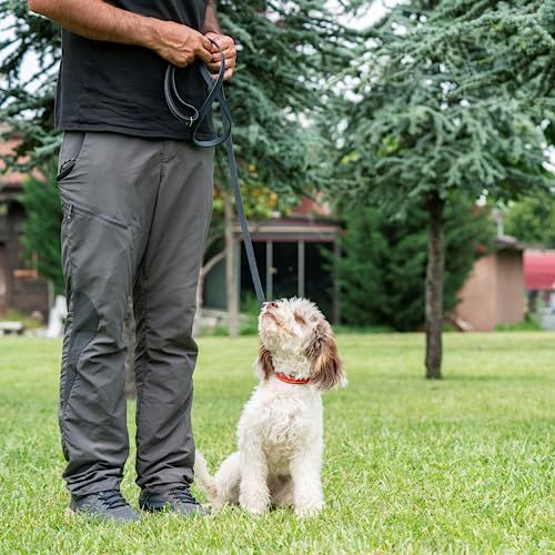 Filbert Leather Dog Collar, Genuine Leather Collar for Medium Dogs, Premium, Luxury Padded, Strong, Adjustable for All Breeds, Heavy Metal Buckle, Ultra-Durable, Red - Image 3