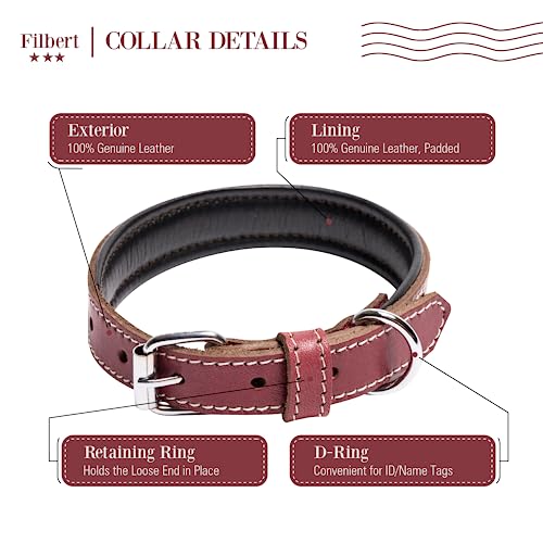 Filbert Leather Dog Collar, Genuine Leather Collar for Medium Dogs, Premium, Luxury Padded, Strong, Adjustable for All Breeds, Heavy Metal Buckle, Ultra-Durable, Red - Image 4