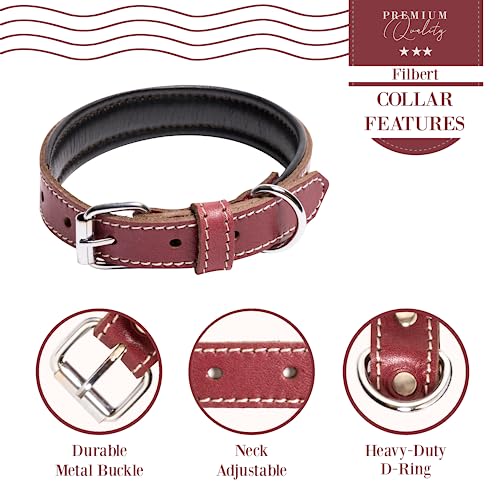 Filbert Leather Dog Collar, Genuine Leather Collar for Medium Dogs, Premium, Luxury Padded, Strong, Adjustable for All Breeds, Heavy Metal Buckle, Ultra-Durable, Red - Image 5