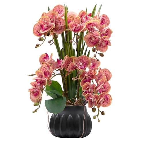 CXGS Artificial Orchid Flower Plant 19.7'' Real Touch Faux Orchids in Ceramic Vase Purple Dapple Fake Phalaenopsis Flower Arrangement Silk Orchids with Stems for Centerpiece Table Home Indoor Decor - Image 1