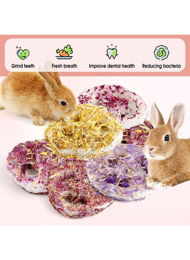 Natural Bunny Chew Toys for Rabbit Treat,Guinea Pigs Toys Organic Loofah Chew, Handmade Rabbit Chew Toys for Hamster Rabbit Rats Chinchilla Hamsters Groundhog Squirrels（6 Pcs） - Image 4
