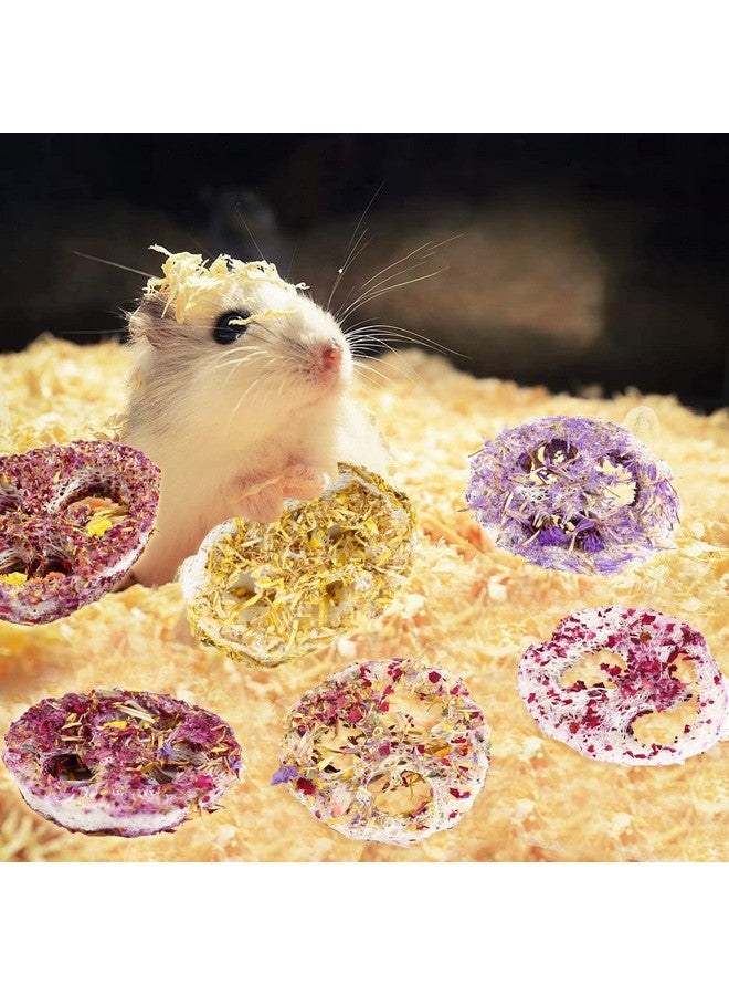 Natural Bunny Chew Toys for Rabbit Treat,Guinea Pigs Toys Organic Loofah Chew, Handmade Rabbit Chew Toys for Hamster Rabbit Rats Chinchilla Hamsters Groundhog Squirrels（6 Pcs） - Image 5