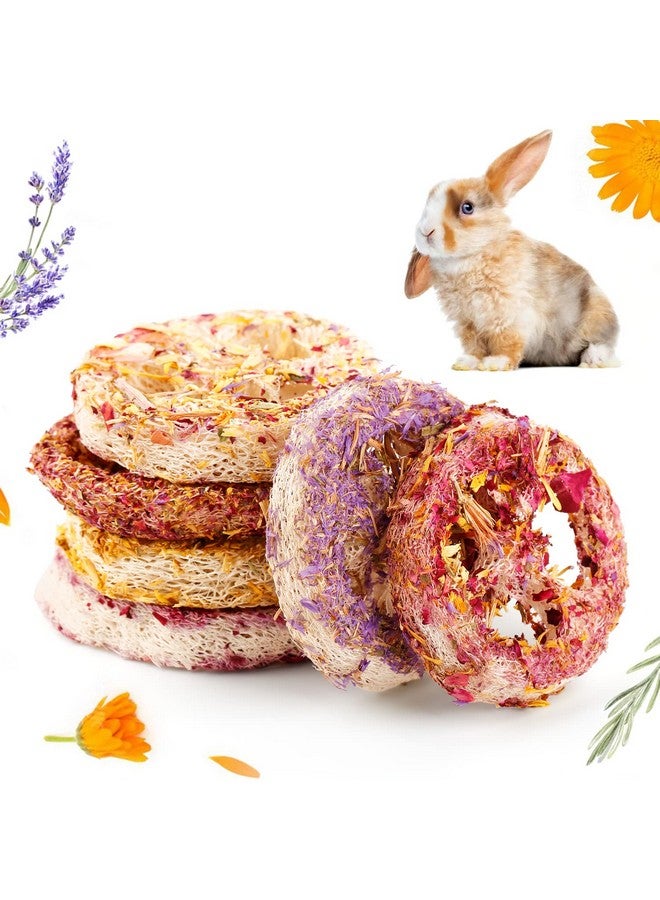 Natural Bunny Chew Toys for Rabbit Treat,Guinea Pigs Toys Organic Loofah Chew, Handmade Rabbit Chew Toys for Hamster Rabbit Rats Chinchilla Hamsters Groundhog Squirrels（6 Pcs） - Image 1
