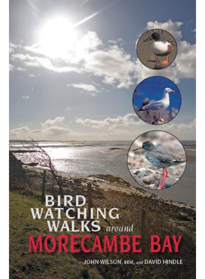 Birdwatching Walks Around Morecambe Bay 