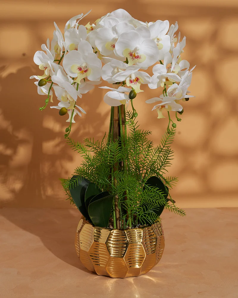 REDTAG Artificial Orchid in White Planter 65(H) x 60(D) Cm