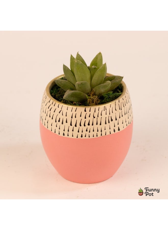 Cactus pottery pot