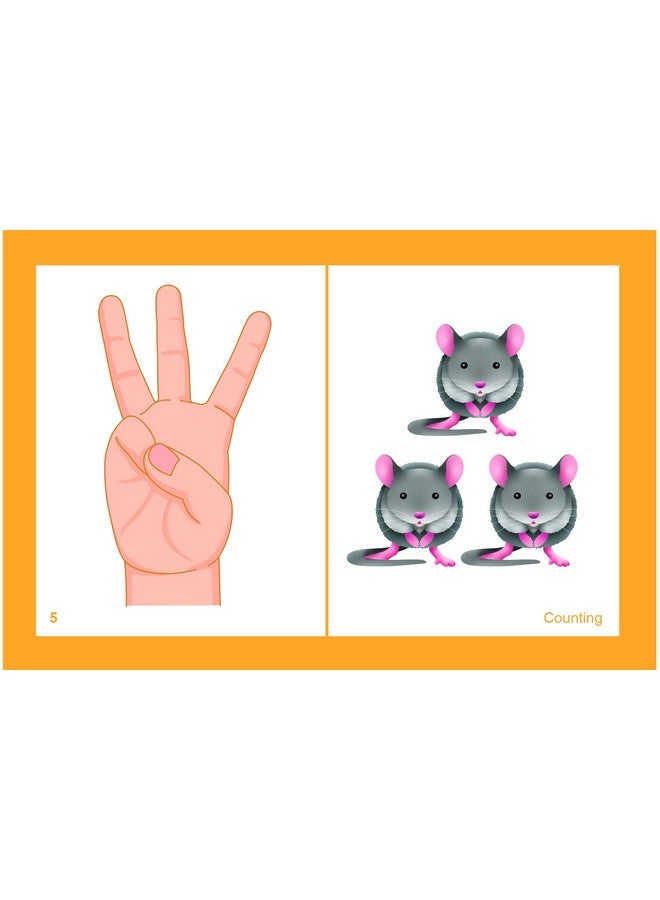 Didax Educational Resources Same But Different Cards, Grades K-2, Multicolor - Image 3