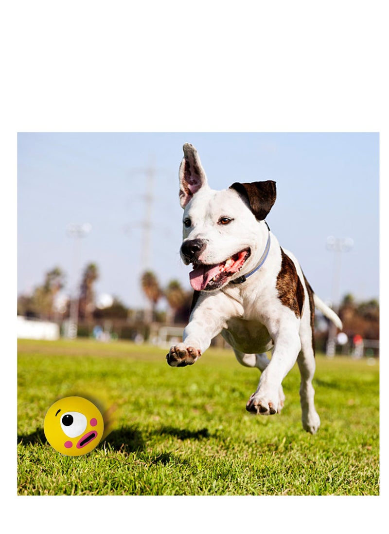 null - Latex Squeaky Dog Toy Set - Soft Puppy Chew Balls with Funny Faces, Ideal for Interactive Play, Fetch, and Chewing for Medium Dogs (3 Pack) - Image 1