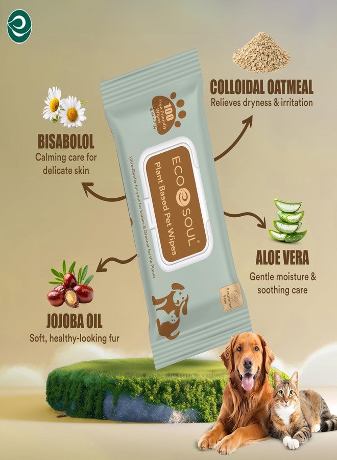 ECO SOUL Pet Wipes for Dogs & Cats, Unscented Large Cleaning Wipes with Aloe Vera & Jojoba Oil | (100 Count Each, Pack of 4) - Image 3