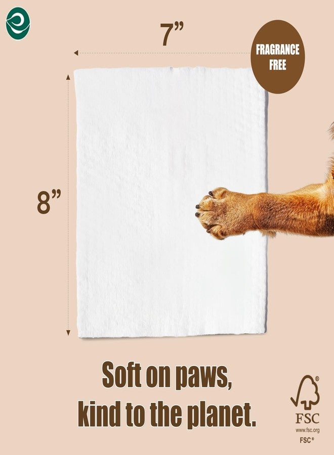 ECO SOUL Pet Wipes for Dogs & Cats, Unscented Large Cleaning Wipes with Aloe Vera & Jojoba Oil | (100 Count Each, Pack of 4) - Image 2