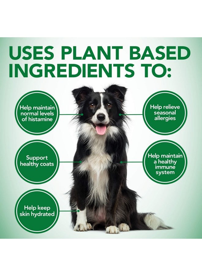 Vet's Best Vet's Best Healthy Coat Shed & Itch Relief Dog Supplements | Relieve Dogs Skin Irritation and Shedding Due to Seasonal Allergies or Dermatitis | 150 Chewable Tablets  - Image 2