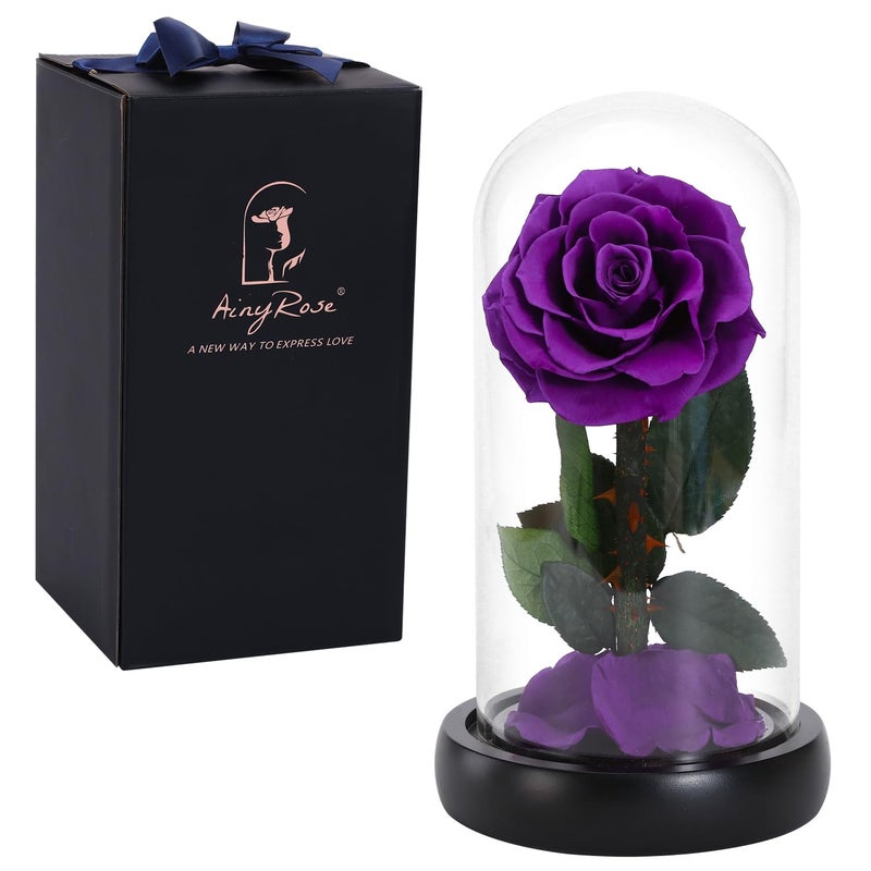 SW Forever Preserved Real Rose Flower Birthday Gifts for WomenValentines Gifts Eternal Flower in Glass Unique Gifts for Women in Her Birthday Anniversary Valentines Day Mothers Day Purple