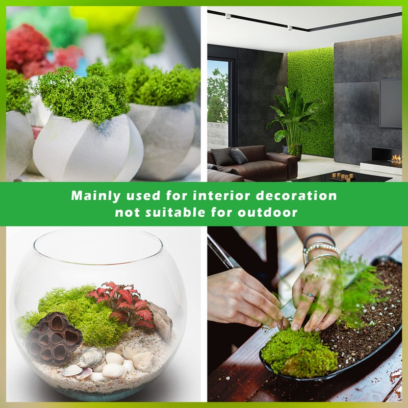 Tmovjxv 6 Colors Preserved Moss-16.9 OZ Natural Reindeer Moss-Moss for Crafts, Potted Plants Floral Arrangements Home Artistic Garden Decoration - Image 4