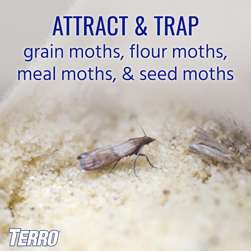 TERRO T2900 Pantry Moth Traps - Non-Toxic 2 Pack for Effective Moth Control - Image 1