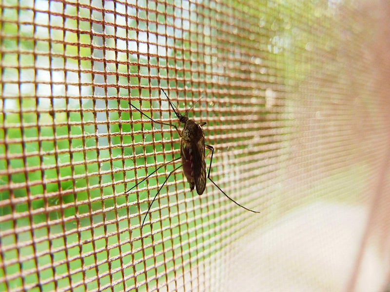Mesh Masters Mosquito net for Window 1 Year Guarantee 3feet/4feet(90cm/120cm) 35inch/47inches(Grey Color) with Stitching - Image 5