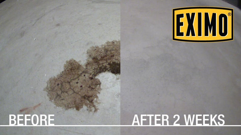 CAF Outdoor Cleaning منظف الخرسانة بدون ماء EXIMO® من CAF لتنظيف الأسطح الخارجية مثل الممر، المرآب، القبو، والممرات (3 أرطال) - Image 5