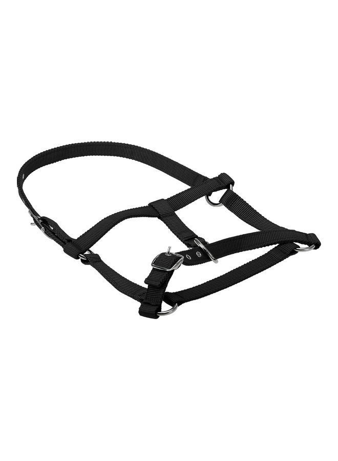 NIBEMINENT Horse Head Collar M - Image 4